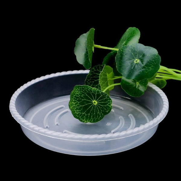 10-Piece Transparent Plastic Planter Saucer Pack