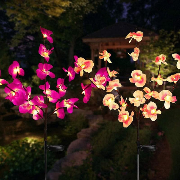 20 Flower Solar Orchid Lights