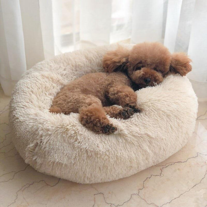 Calming Cloud Dog Bed - Anxiety & Stress Relief, Joint & Muscle Support, Washable - Haeska