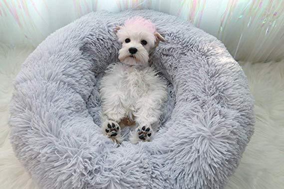 Calming Cloud Dog Bed - Anxiety & Stress Relief, Joint & Muscle Support, Washable - Haeska