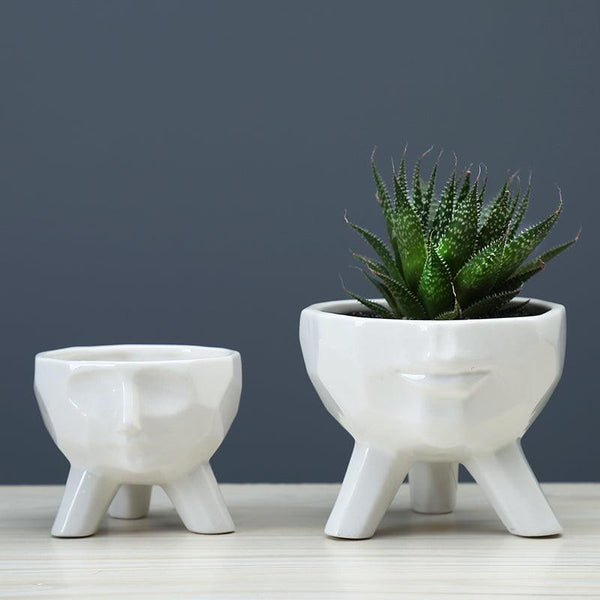 2-Piece White Ceramic Facial Succulent Planters