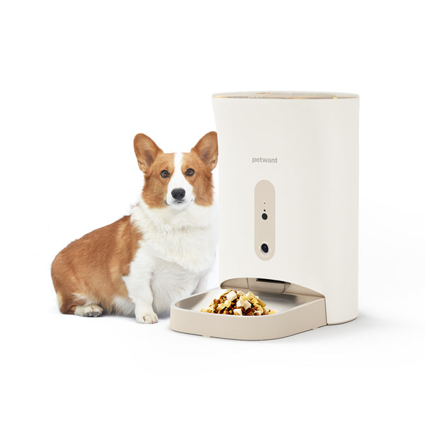 4.5L Intelligent Pet Feeder - Real-Time Video Monitoring & Automatic Feeding - Haeska